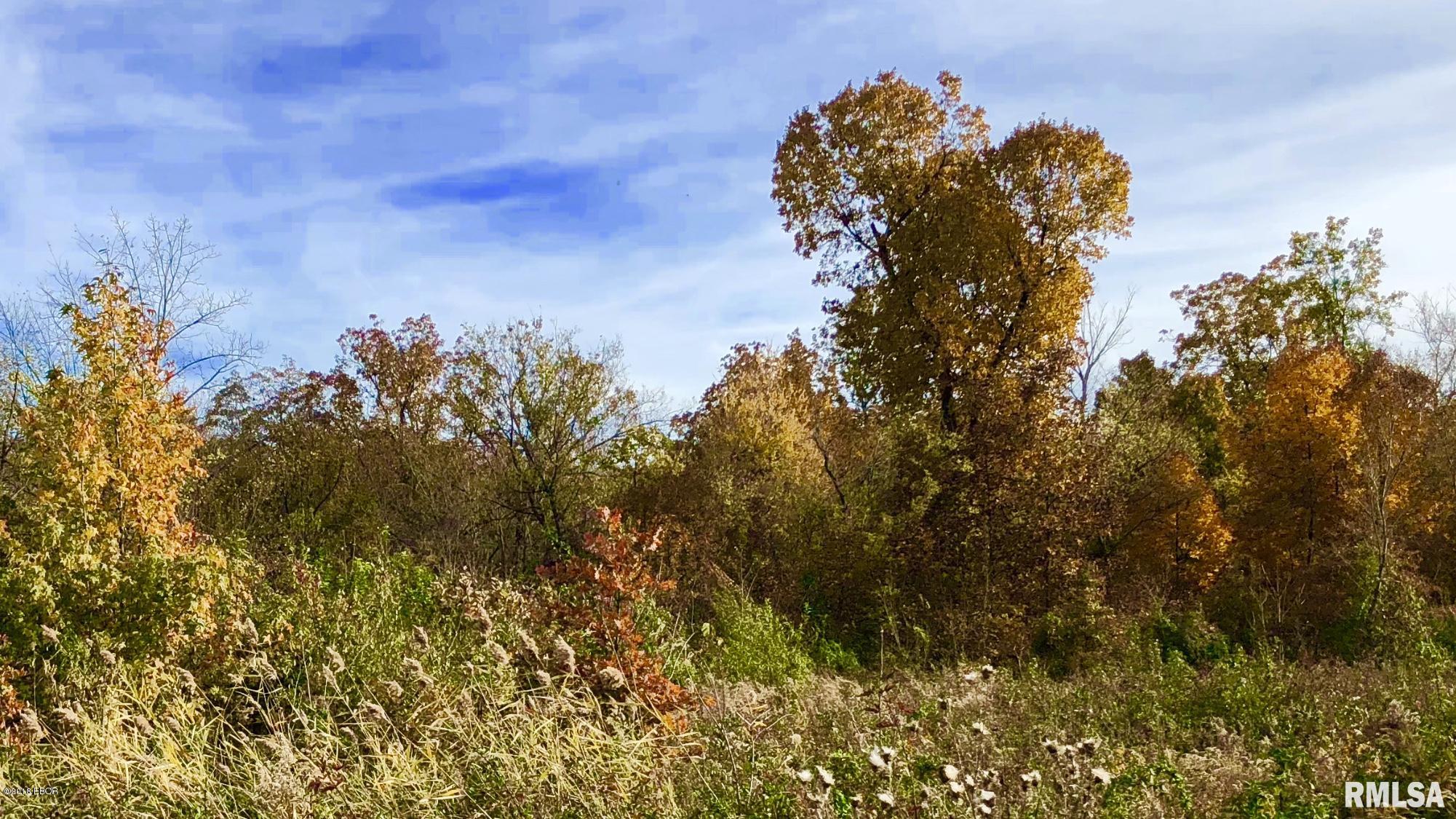 0 Sugar Creek Road Benton, IL 62812 - Photo 5 of 6 Gallery Image 5