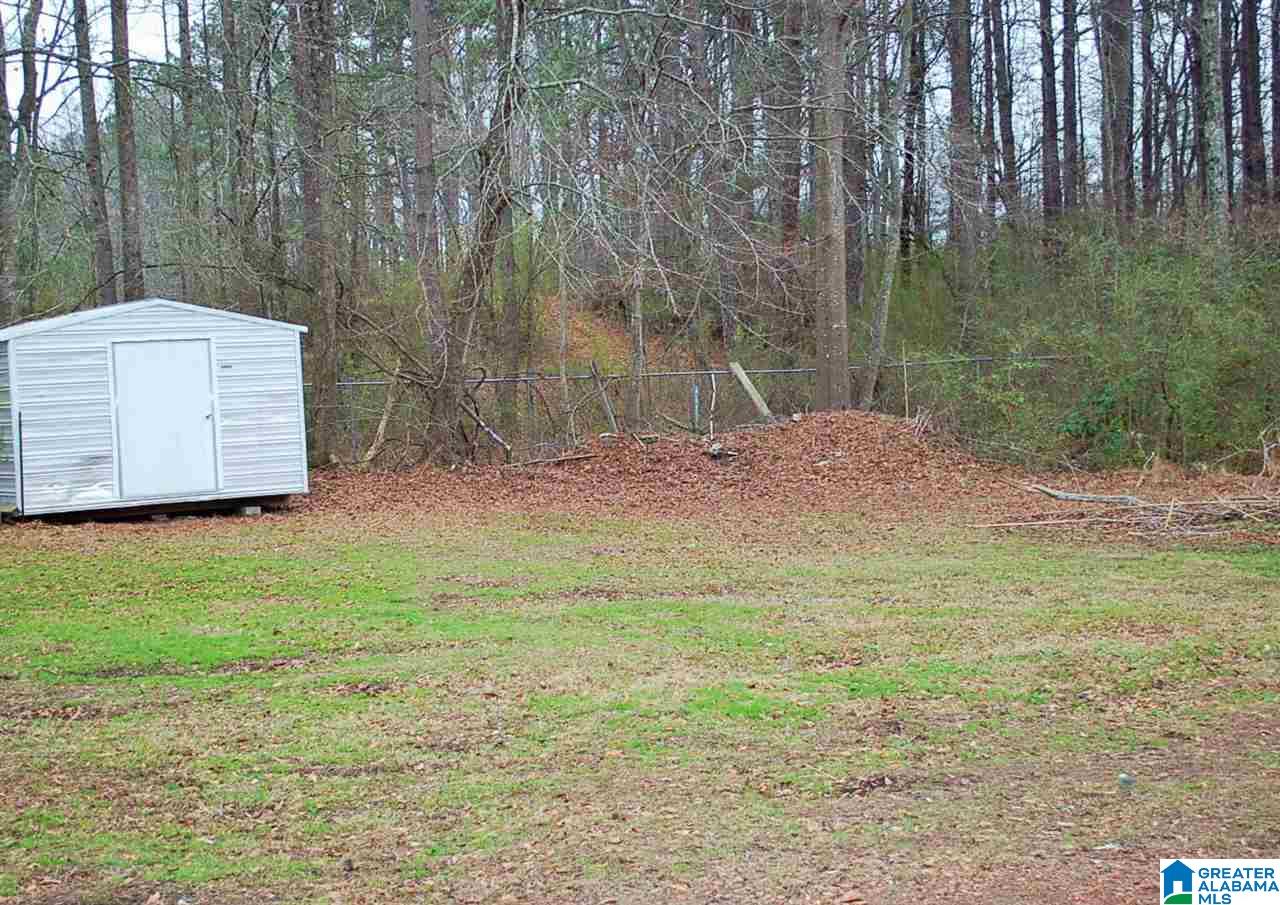 8257 County Line Road Dora, AL 35062 - Photo 19 of 21