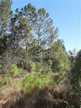 Salyers Road Clermont, FL 34714 - Photo 3 of 6