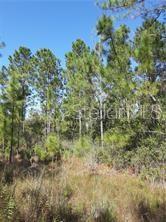 Salyers Road Clermont, FL 34714 - Photo 4 of 6