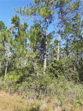 Salyers Road Clermont, FL 34714 - Photo 5 of 6