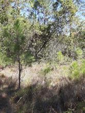 Salyers Road Clermont, FL 34714 - Photo 6 of 6