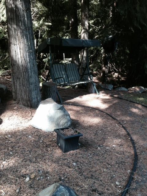 4130 Pebble Beach Road Loon Lake, WA 99148 - Photo 6 of 20 Gallery Image 6