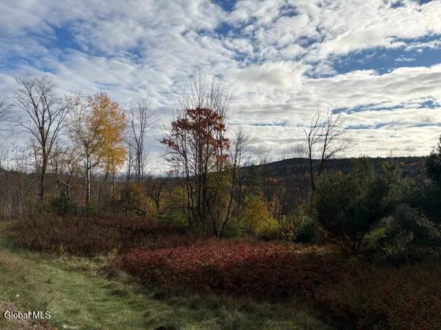 $59,900 | 954 C State Highway 9N, Au Sable, NY 12944