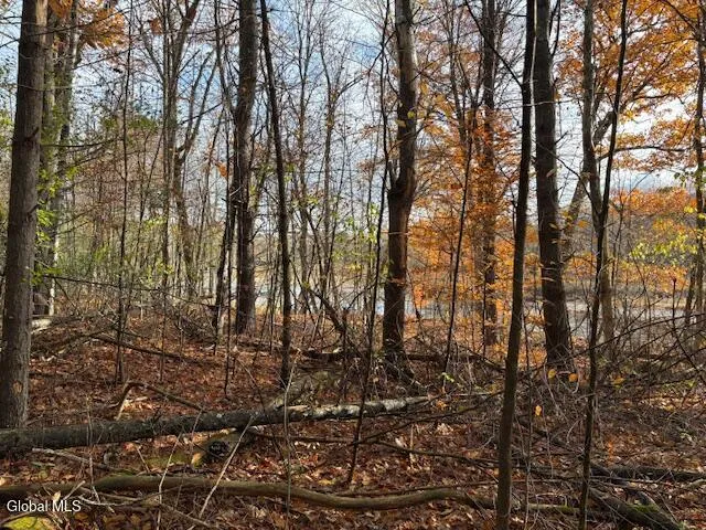 $59,900 | 954 C State Highway 9N, Au Sable, NY 12944