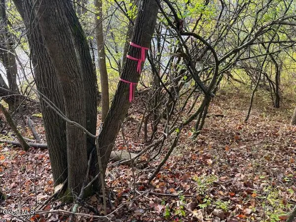 $52,900 | 954 C State Highway 9N, Au Sable, NY 12944