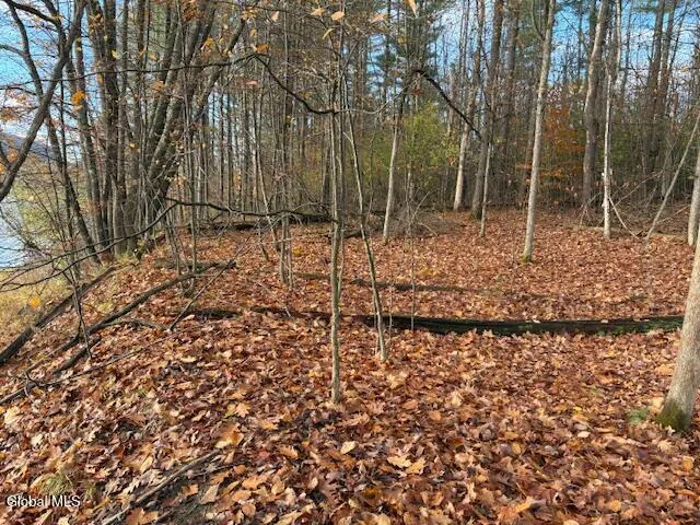 $59,900 | 954 C State Highway 9N, Au Sable, NY 12944