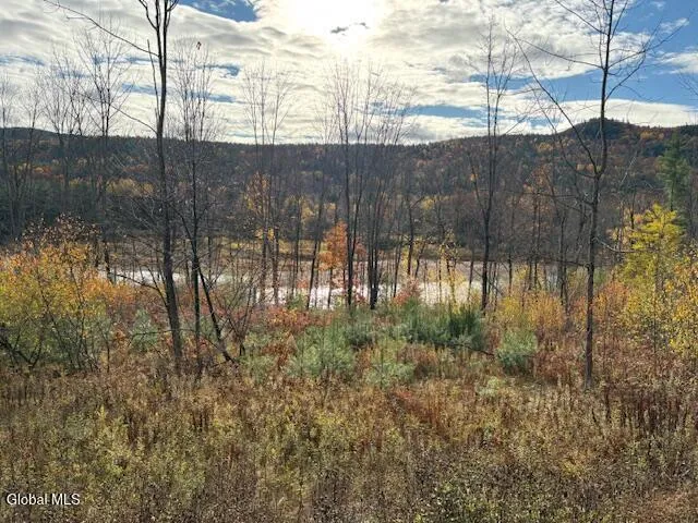 $59,900 | 954 C State Highway 9N, Au Sable, NY 12944