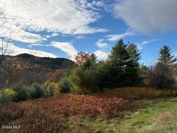 $52,900 | 954 C State Highway 9N, Au Sable, NY 12944