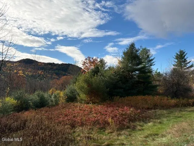 $59,900 | 954 C State Highway 9N, Au Sable, NY 12944