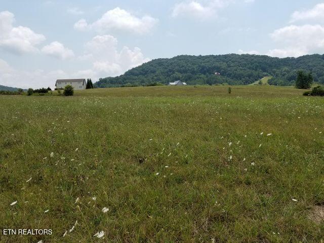 Fishers Loop Sharps Chapel, TN 37866 - Photo 7 of 18 Level lot