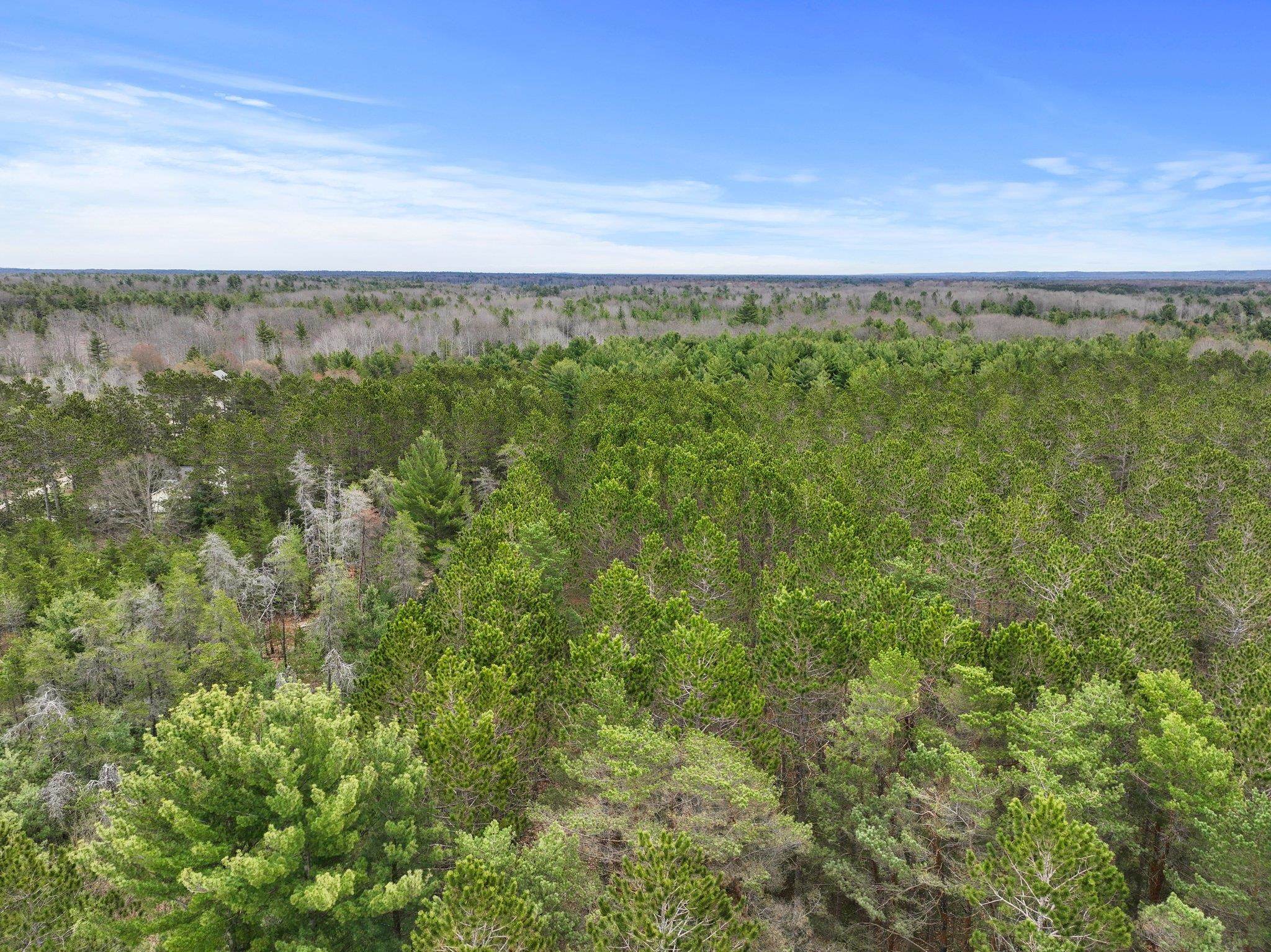 1351 North Betsie River Road Interlochen, MI 49643 - Photo 21 of 28 Gallery Image 21