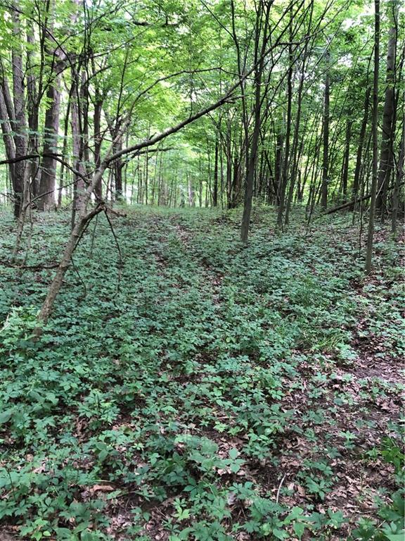 4205 Williams Road Martinsville, IN 46151 - Photo 21 of 22 Gallery Image 21
