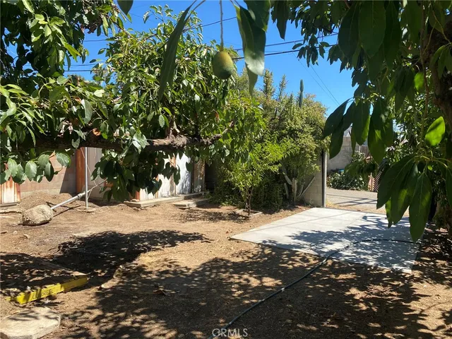 a view of a yard with plants and trees