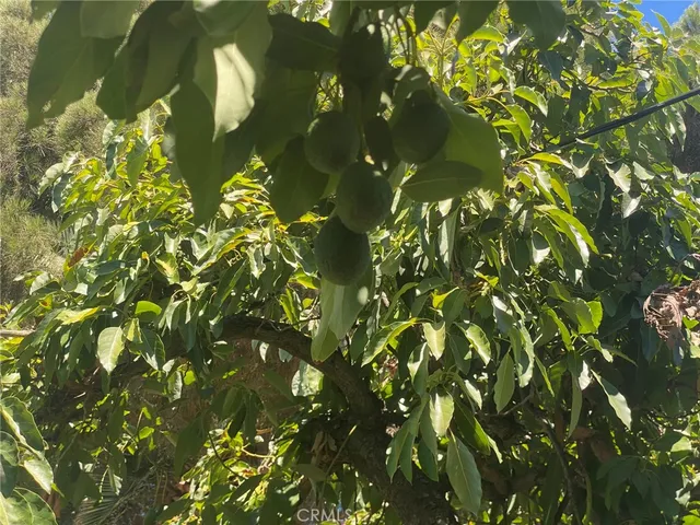 a view of a street with chairs