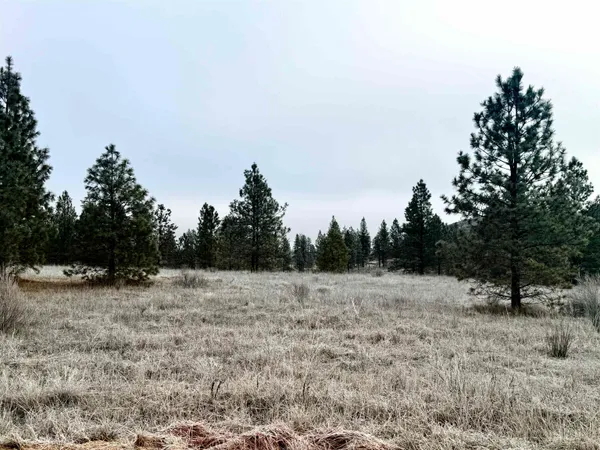 $170,000 | 0 North Cayuse Cove Road East, Davenport, WA 99122