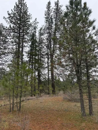$170,000 | 0 North Cayuse Cove Road East, Davenport, WA 99122
