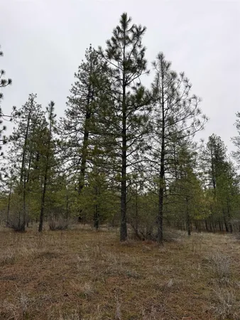 $170,000 | 0 North Cayuse Cove Road East, Davenport, WA 99122