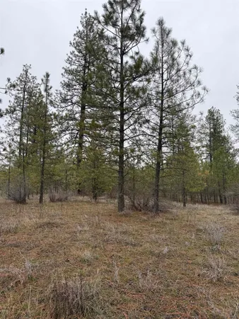 $170,000 | 0 North Cayuse Cove Road East, Davenport, WA 99122