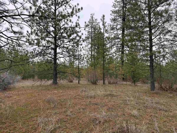 $170,000 | 0 North Cayuse Cove Road East, Davenport, WA 99122