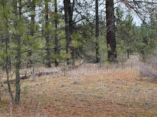 $170,000 | 0 North Cayuse Cove Road East, Davenport, WA 99122