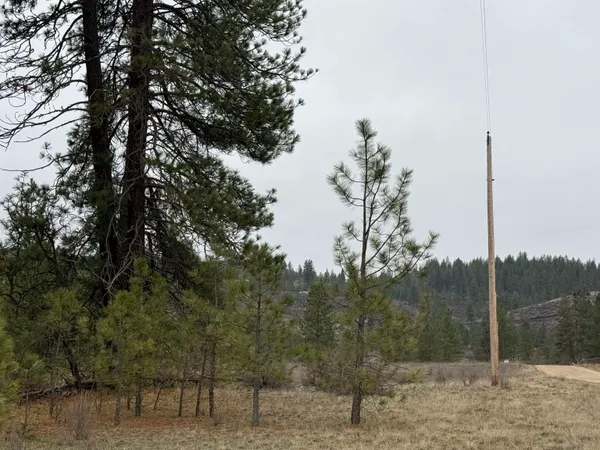 $170,000 | 0 North Cayuse Cove Road East, Davenport, WA 99122