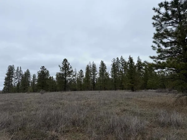 $170,000 | 0 North Cayuse Cove Road East, Davenport, WA 99122