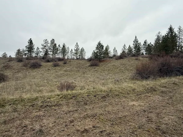 $170,000 | 0 North Cayuse Cove Road East, Davenport, WA 99122