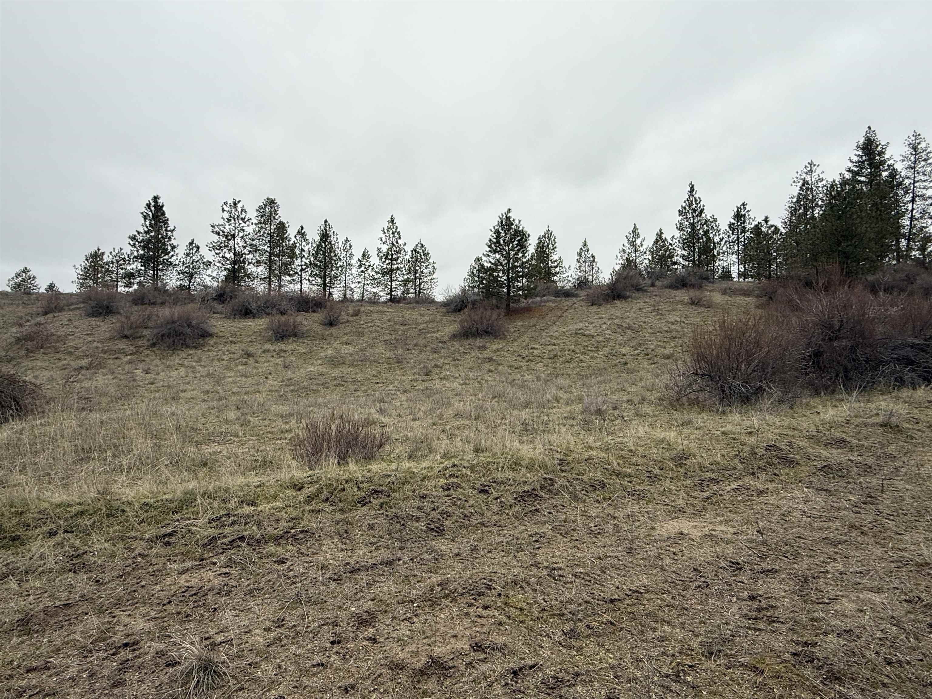 0 North Cayuse Cove Road East Davenport, WA 99122 - Photo 20 of 24