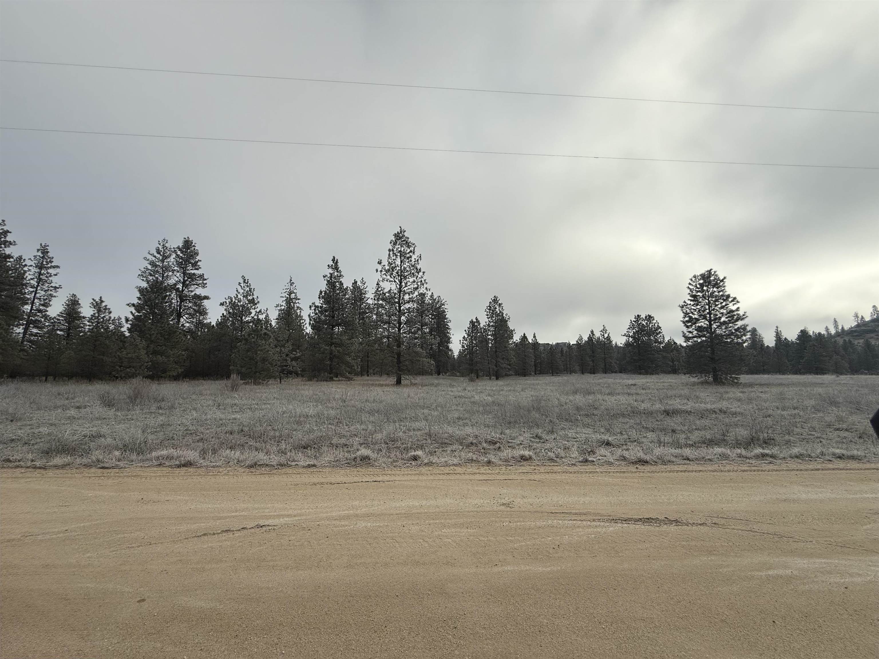 0 North Cayuse Cove Road East Davenport, WA 99122 - Photo 2 of 24