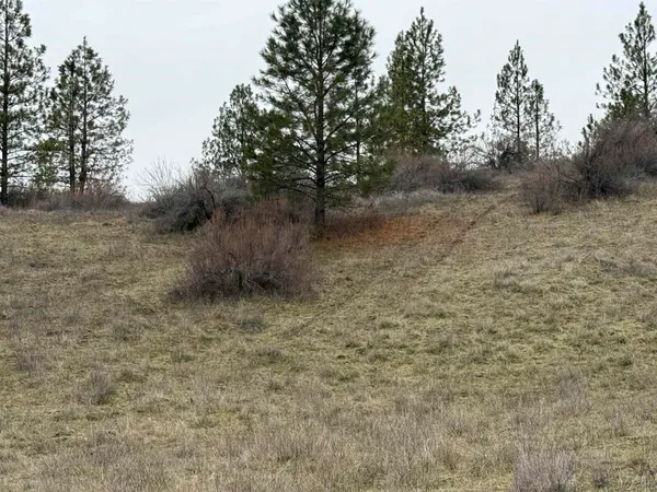 $170,000 | 0 North Cayuse Cove Road East, Davenport, WA 99122