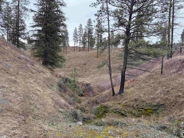 $170,000 | 0 North Cayuse Cove Road East, Davenport, WA 99122