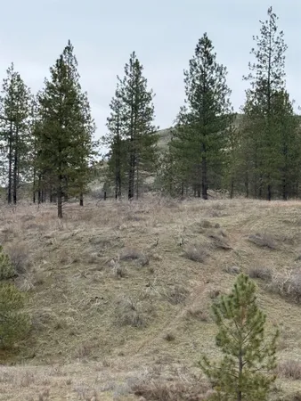$170,000 | 0 North Cayuse Cove Road East, Davenport, WA 99122