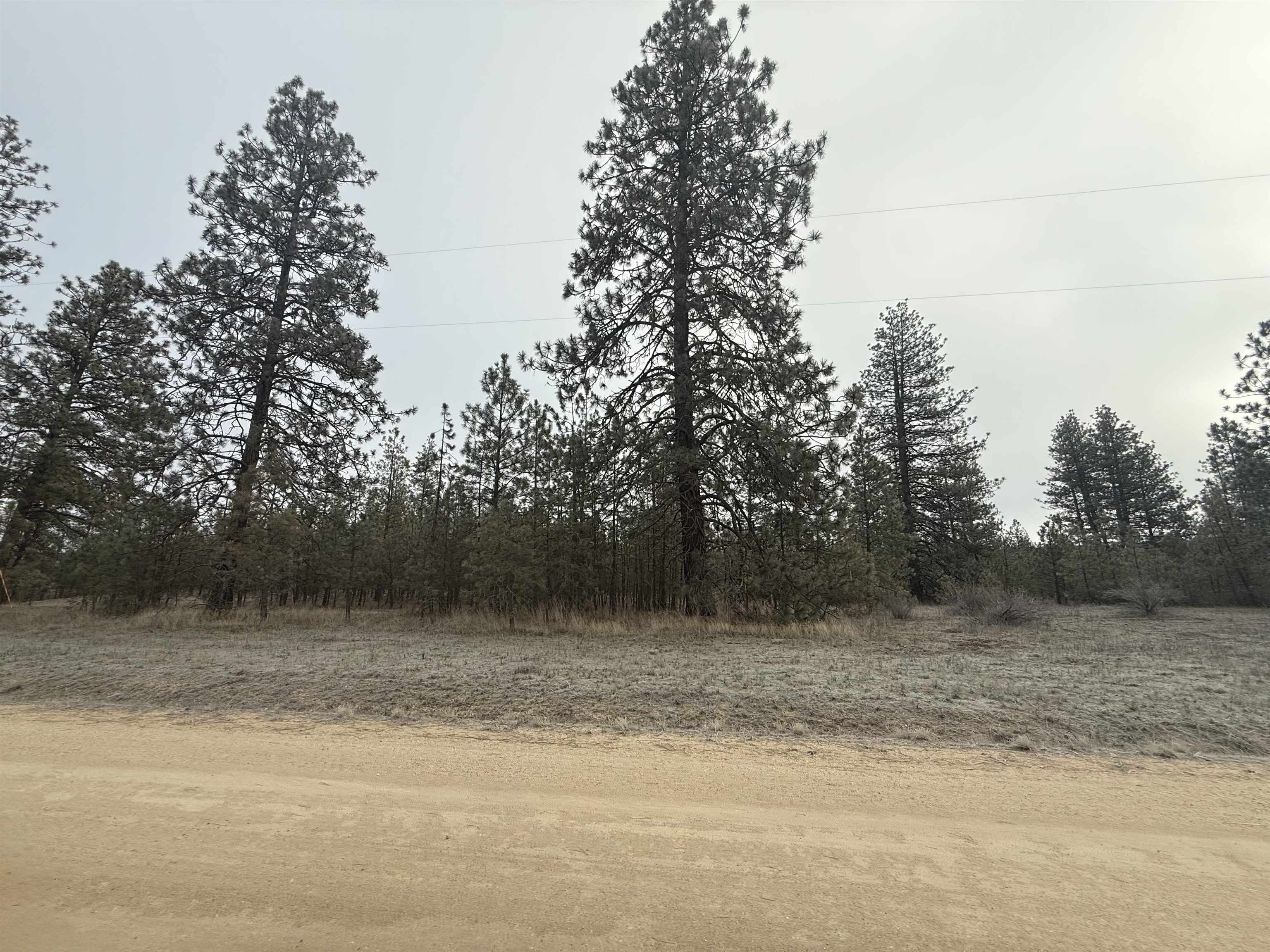 0 North Cayuse Cove Road East Davenport, WA 99122 - Photo 3 of 24