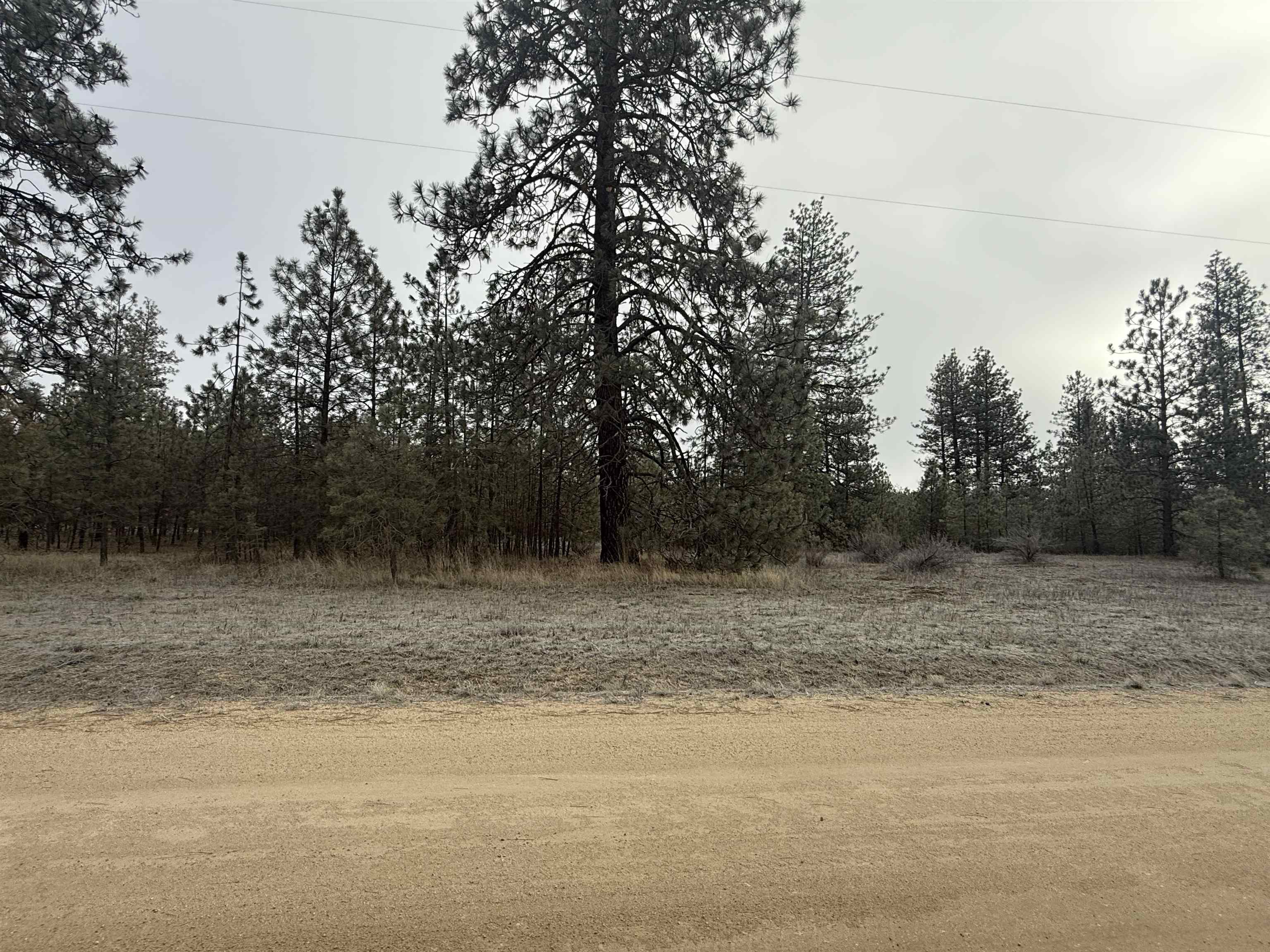 0 North Cayuse Cove Road East Davenport, WA 99122 - Photo 5 of 24