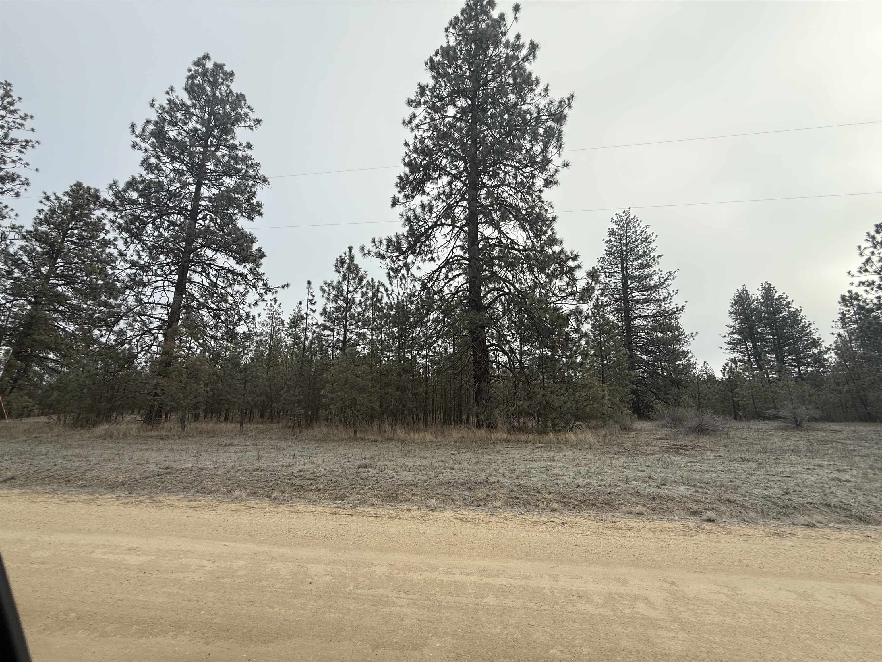 0 North Cayuse Cove Road East Davenport, WA 99122 - Photo 6 of 24