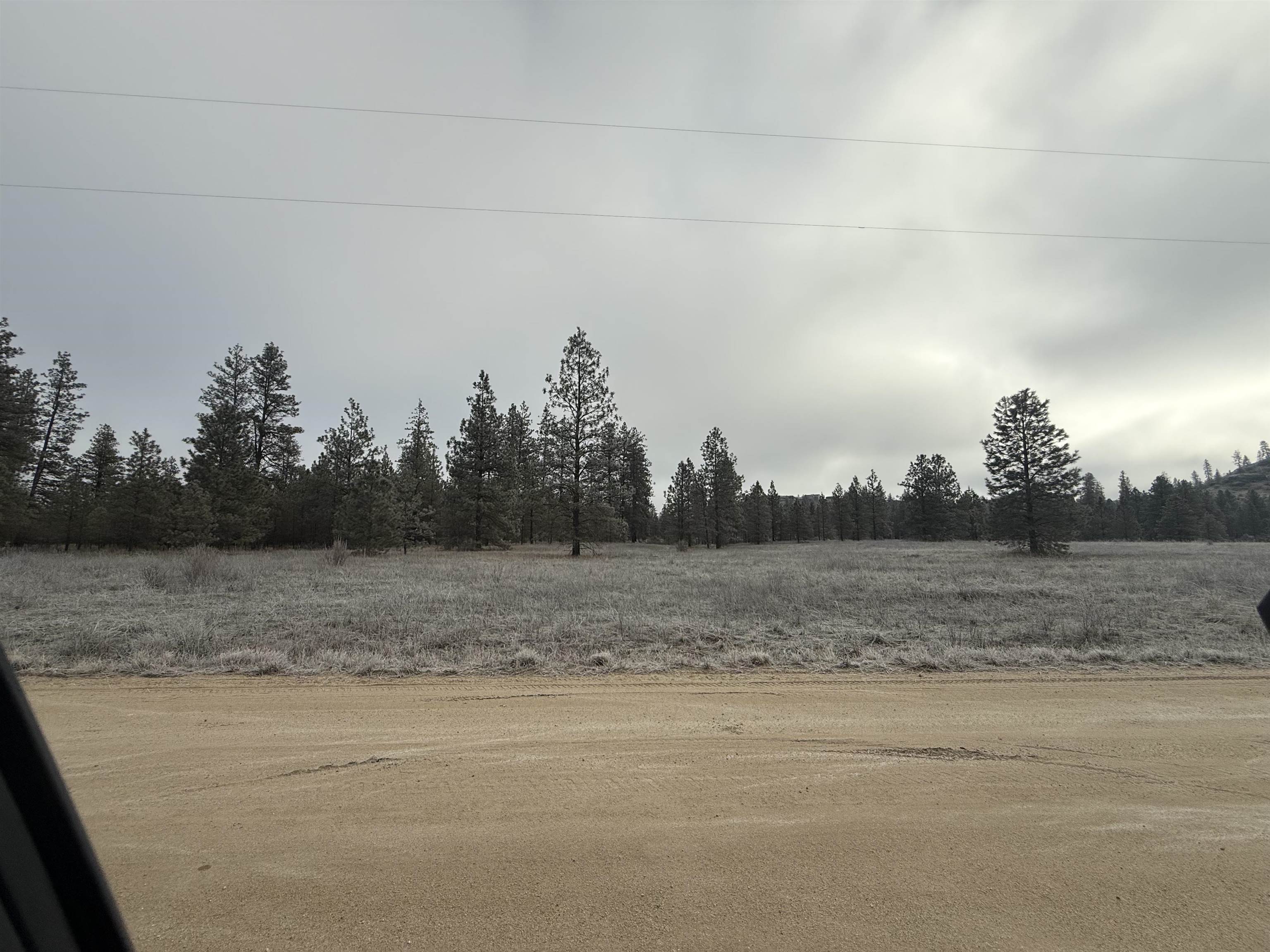 0 North Cayuse Cove Road East Davenport, WA 99122 - Photo 7 of 24