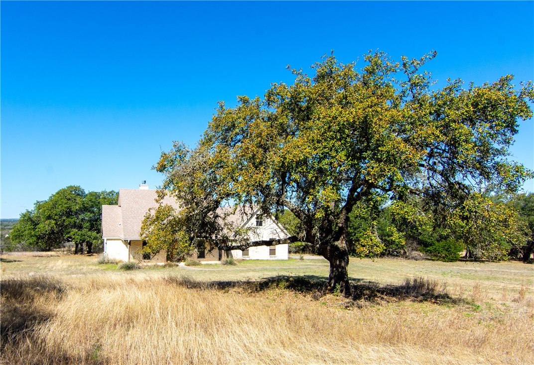 1720 Deerfield Road Dripping Springs, TX 78620 - Photo 1 of 1 Majestic oak in front yard!