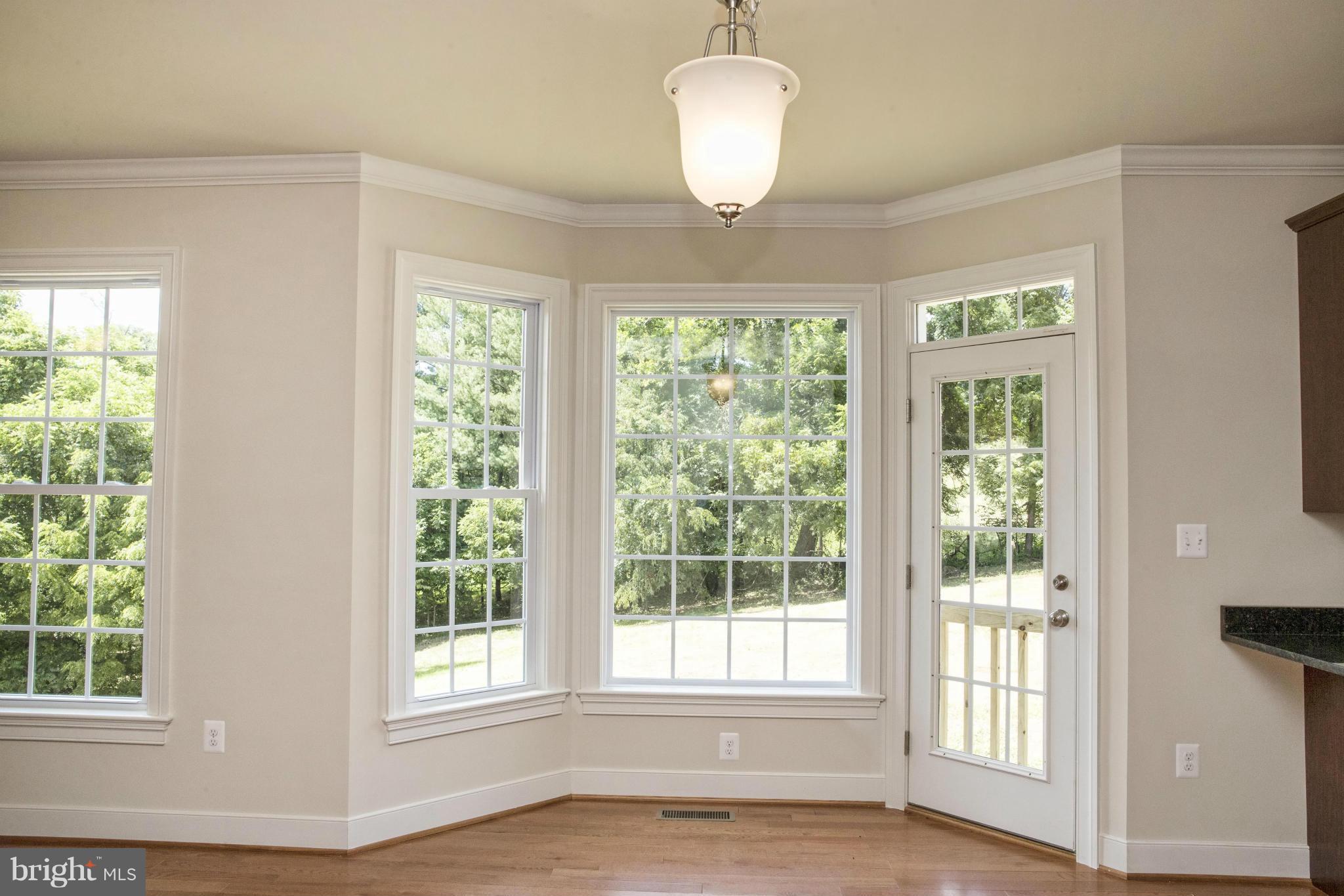 3290 Rokeby Road Delaplane, VA 20144 - Photo 11 of 30 Interior (General)
