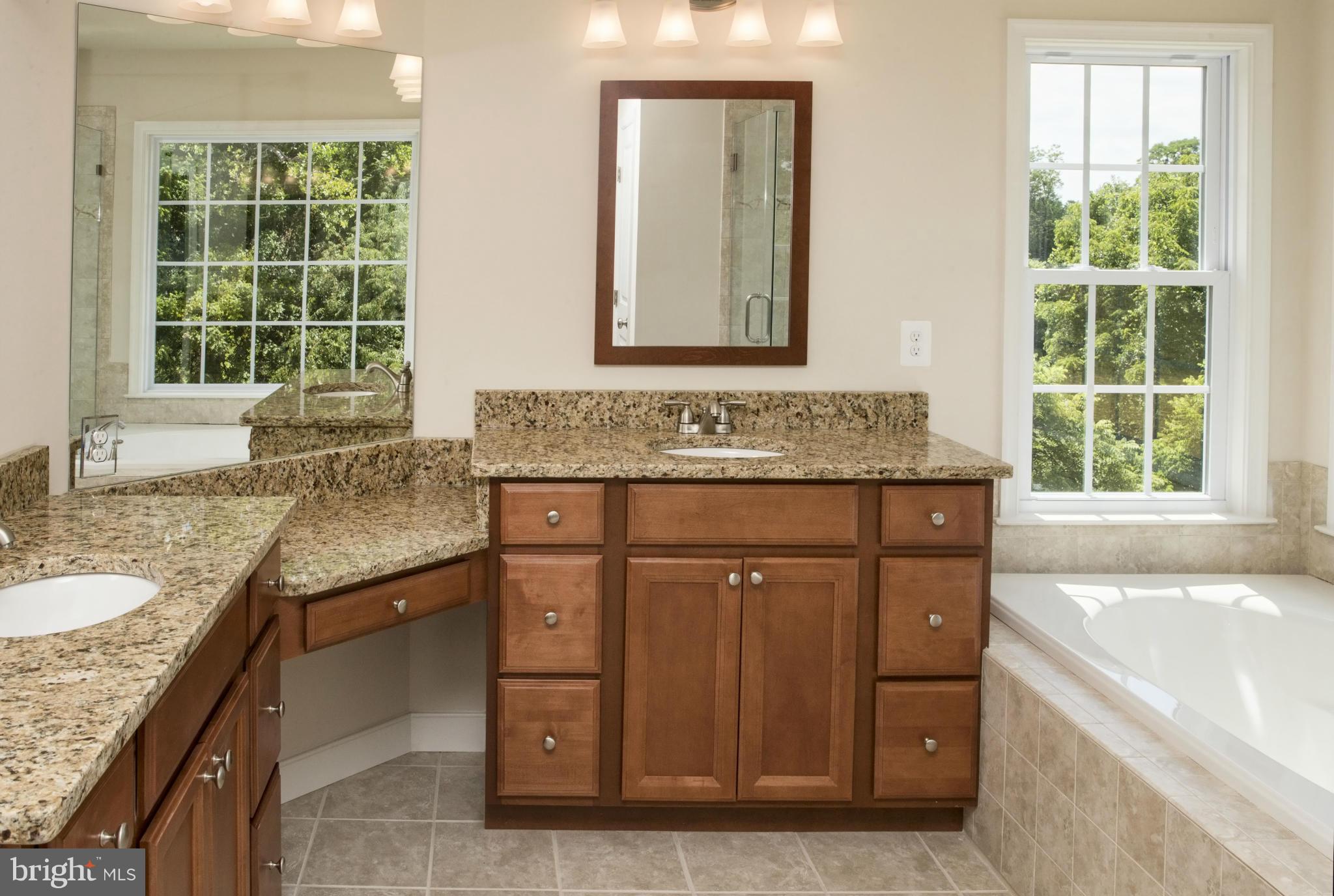 3290 Rokeby Road Delaplane, VA 20144 - Photo 21 of 30 Bath (Master)