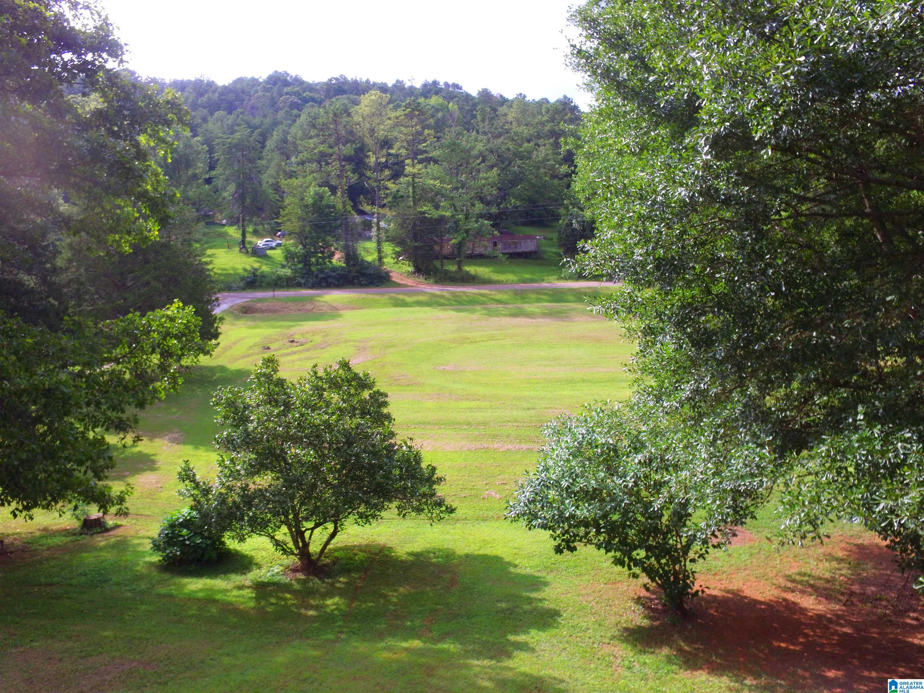 4041 Allison Mill Road Talladega, AL 35160 - Photo 3 of 53