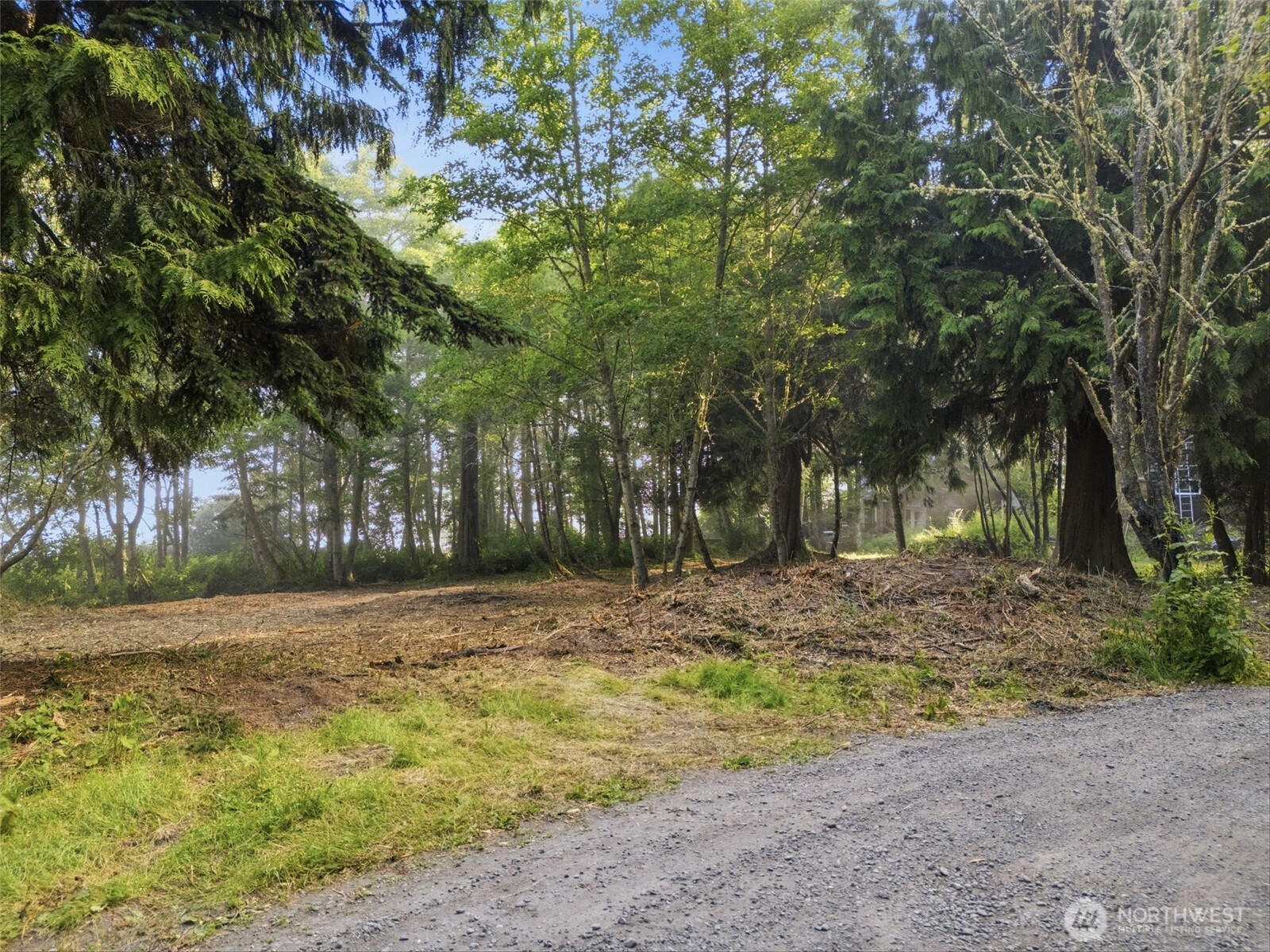 0 Haada Laas Road Port Townsend, WA 98368 - Photo 30 of 40 Gallery Image 30