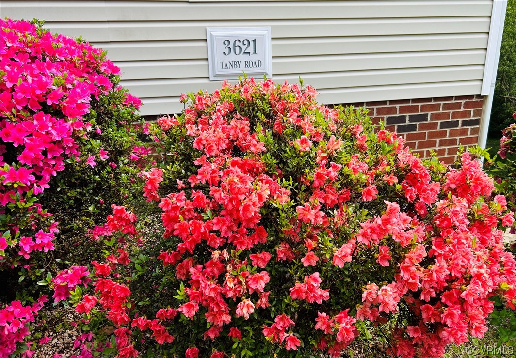 3621 Tanby Road Richmond, VA 23235 - Photo 5 of 40 Gallery Image 5