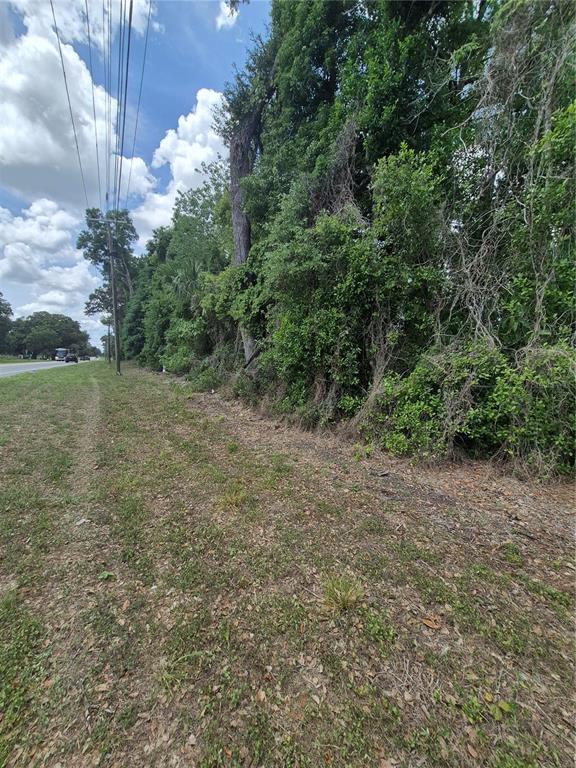 8748 Northeast Jacksonville Road Anthony, FL 32617 - Photo 4 of 9 a view of a field with trees in background