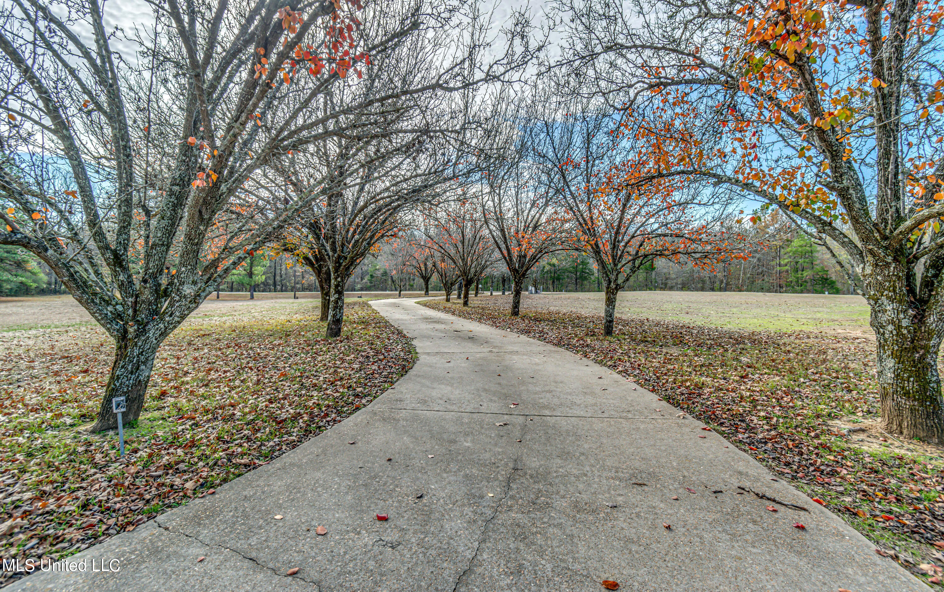 3162 Parsons Road Raymond, MS 39154 - Photo 54 of 54 3162 Parson's Road-19