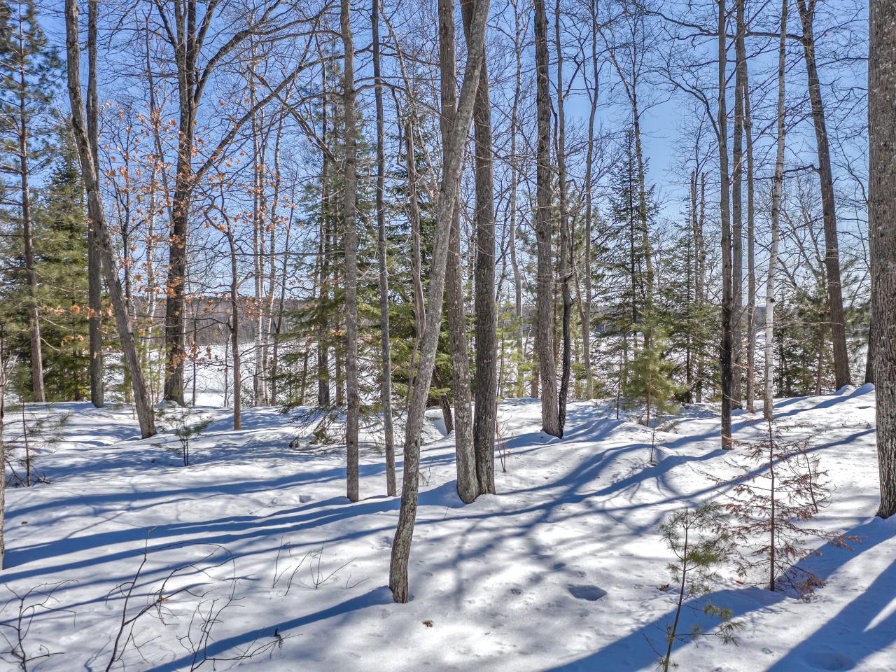 4859 Echo Ridge Road Eagle River, WI 54521 - Photo 19 of 25 Gallery Image 19