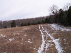 T Hupman Road Churchville, VA 24421 - Photo 2 of 7 a view of outdoor space with mountain view