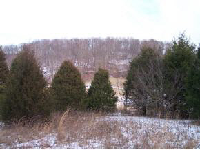 T Hupman Road Churchville, VA 24421 - Photo 3 of 7 a view of a dry yard with trees
