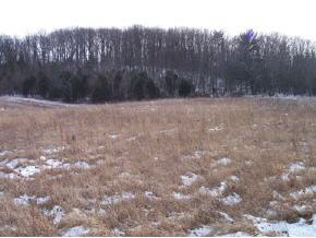 T Hupman Road Churchville, VA 24421 - Photo 7 of 7 a view of a backyard