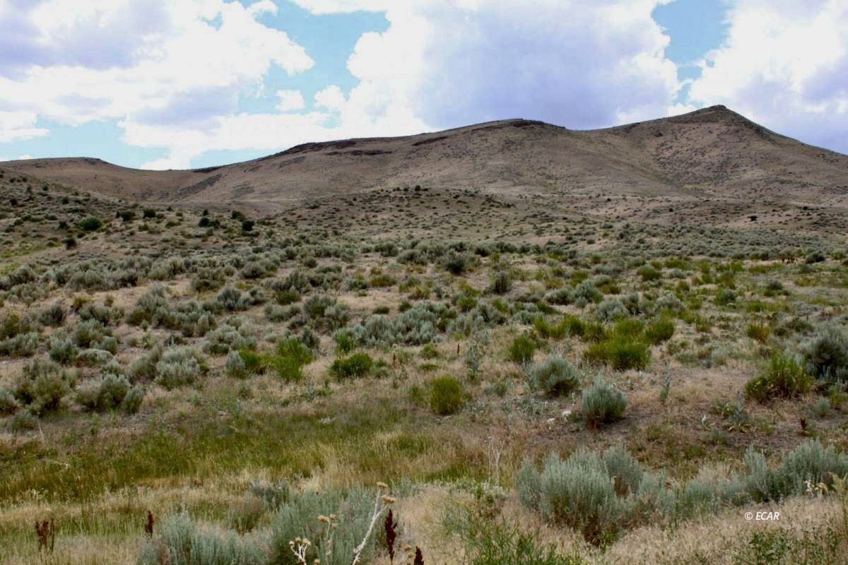 5th Street Elko, NV 89801 - Photo 15 of 20